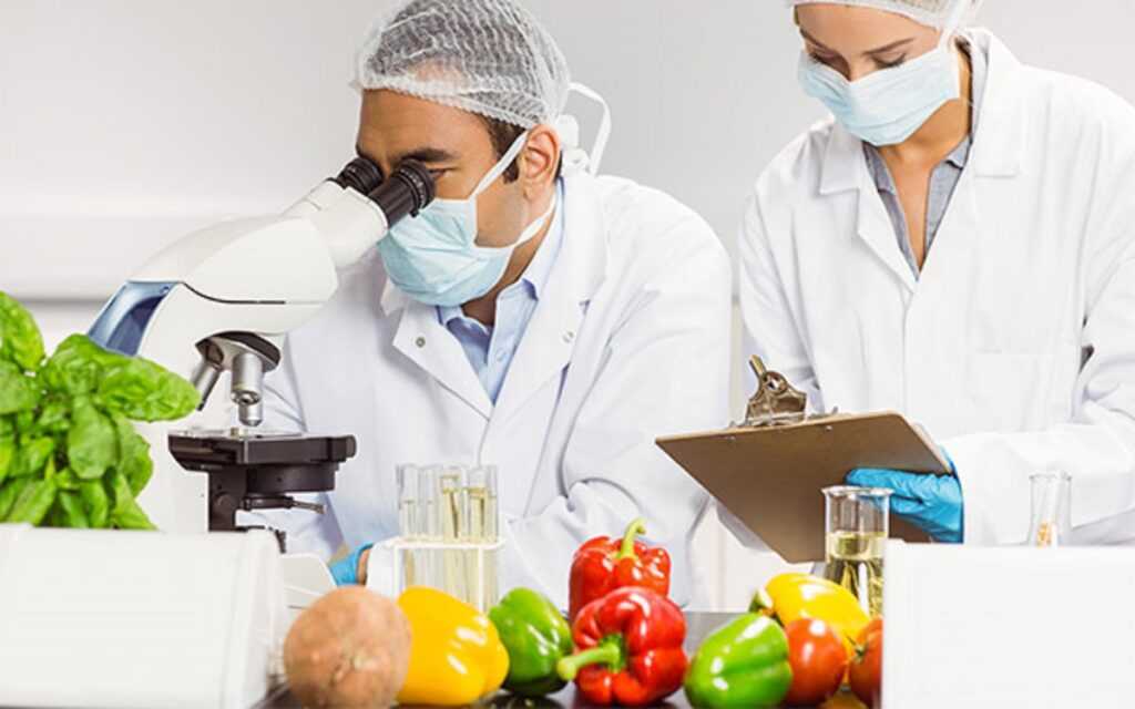Igiene alimentare e Haccp, che cosa sono i CCP e come vengono identificati 1