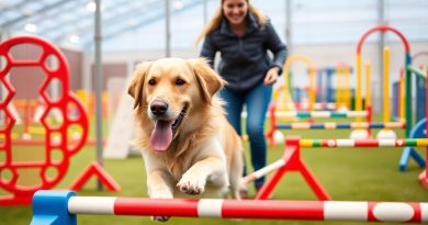 Dog agility. Divertimento e allenamento. Un’attività che unisce divertimento e benessere per il cane e il padrone: scopri come iniziare con la dog agility. 9