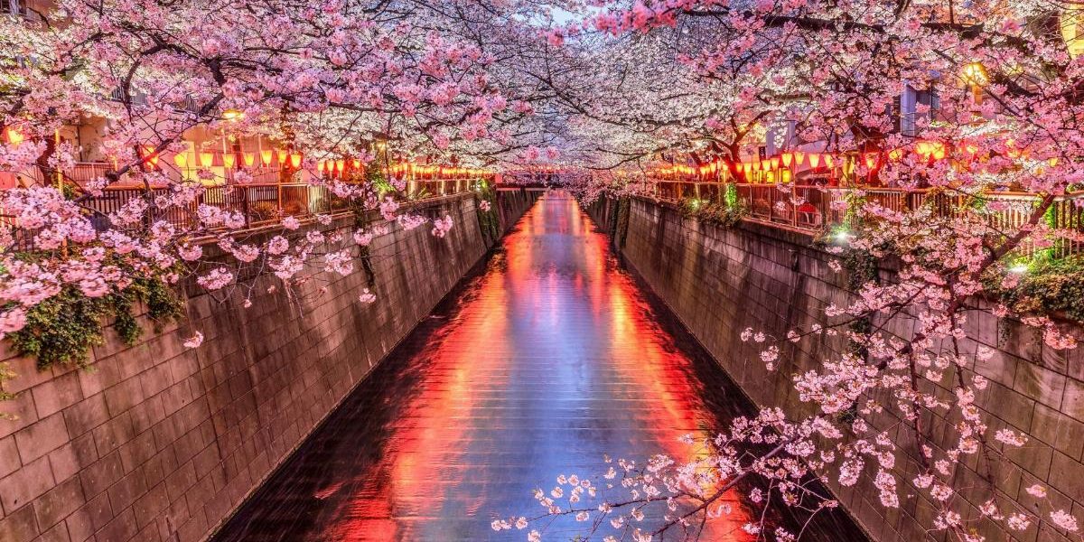 Giappone: un’immersione tra estetica zen e avanguardia urbana