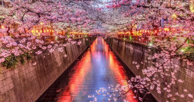 Giappone: un’immersione tra estetica zen e avanguardia urbana