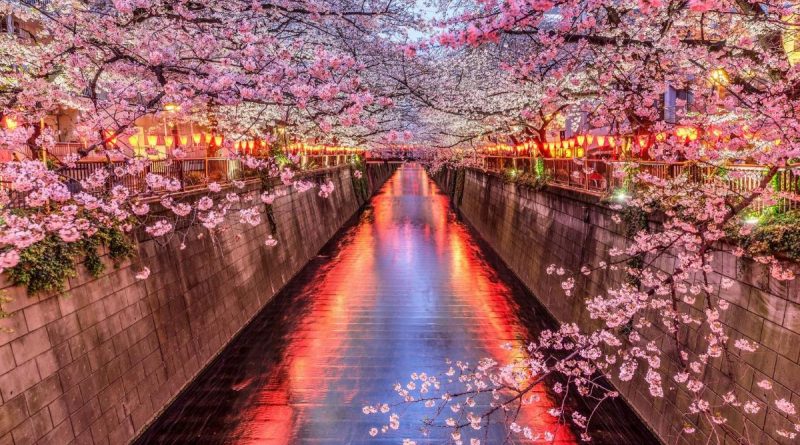 Giappone: un'immersione tra estetica zen e avanguardia urbana 1